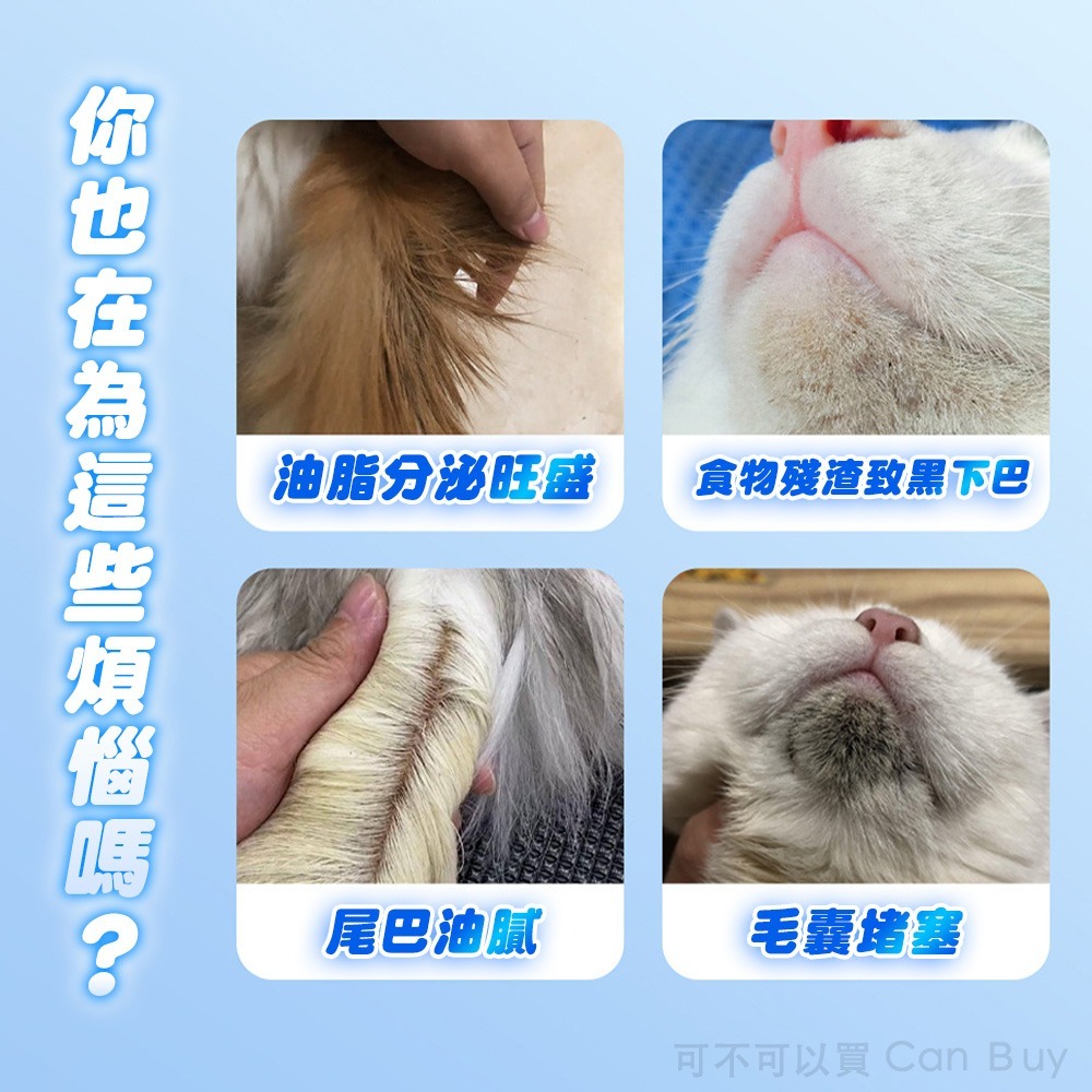 貓咪黑下巴 貓粉刺 貓下巴粉刺 黑下巴 貓黑頭 貓咪粉刺 貓咪下巴清潔 貓粉刺調理露 貓咪粉刺調理露 貓 粉刺-細節圖2