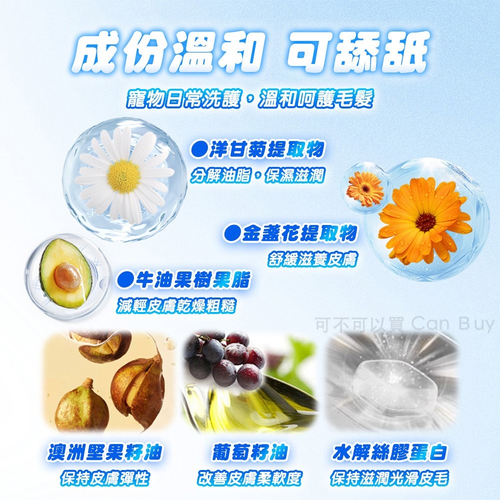 貓咪黑下巴 貓粉刺 貓下巴粉刺 黑下巴 貓黑頭 貓咪粉刺 貓咪下巴清潔 貓粉刺調理露 貓咪粉刺調理露 貓 粉刺-細節圖4