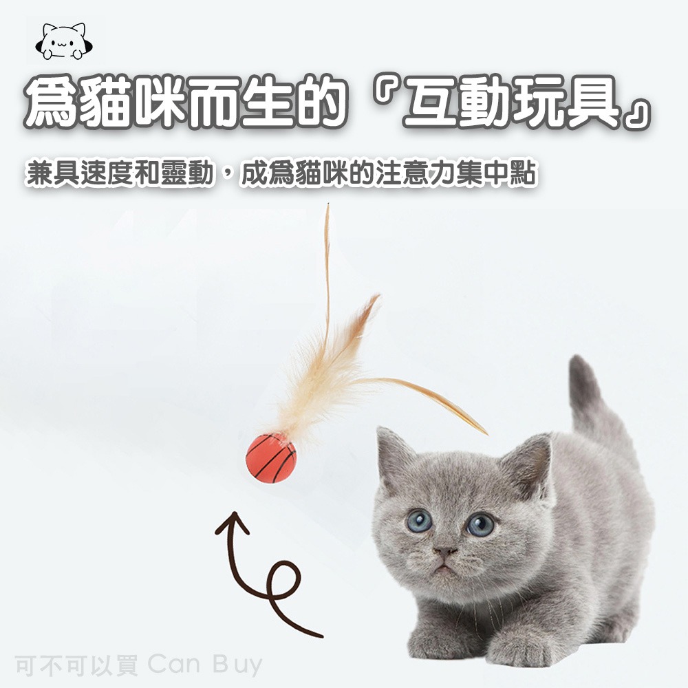 逗貓彈力球 貓玩具 貓咪玩具 寵物玩具 逗貓神器 逗貓玩具 逗貓小貓玩具 逗貓 幼貓玩具 自動逗貓 逗貓棒 貓狗玩具-細節圖3