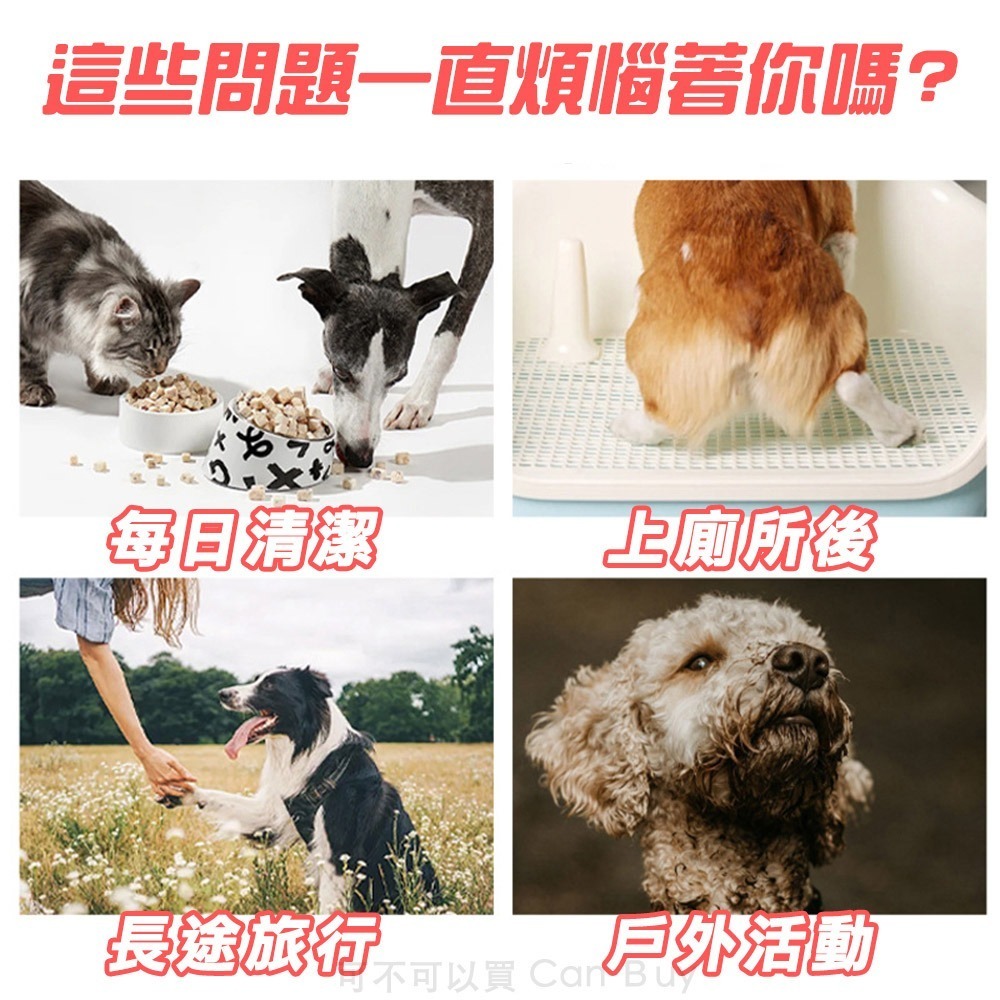 【7-ELEVEN 門市團購】6包優惠組 寵物濕紙巾 升級加厚 貓犬可用 寵物濕巾 狗狗濕紙巾-細節圖2