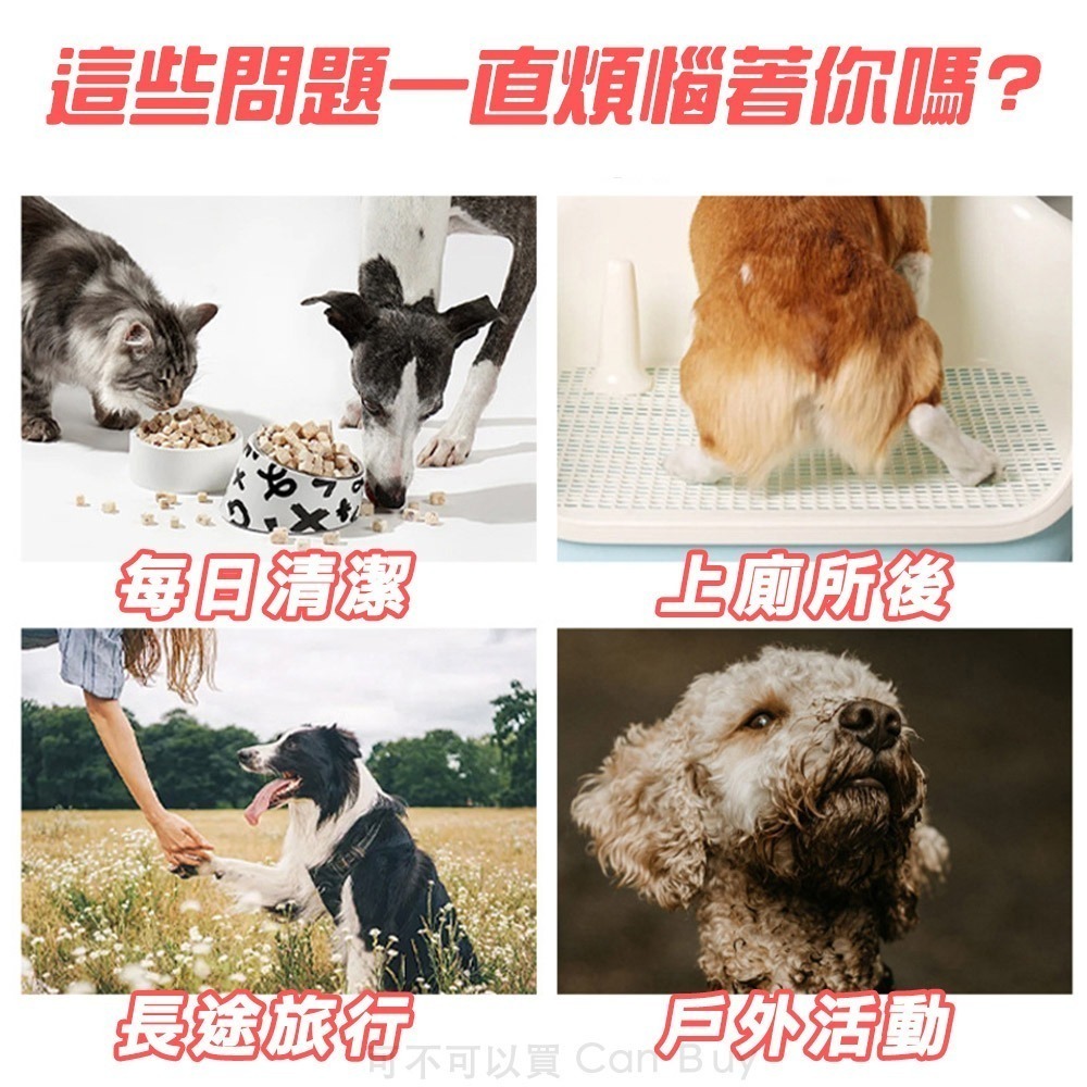 【限時購】6包優惠組 寵物濕紙巾 升級加厚 貓犬可用 寵物濕巾 狗狗濕紙巾-細節圖3