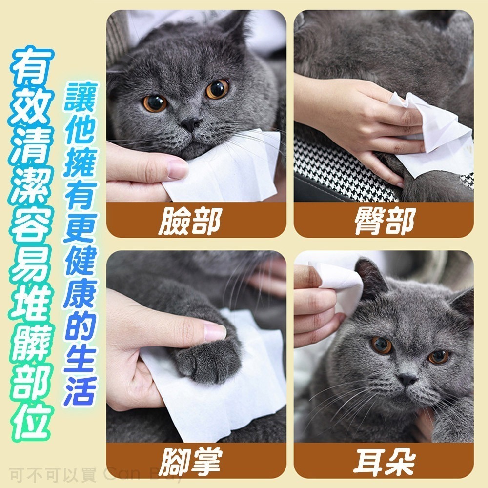 【限時購】6包優惠組 寵物濕紙巾 升級加厚 貓犬可用 寵物濕巾 狗狗濕紙巾-細節圖5