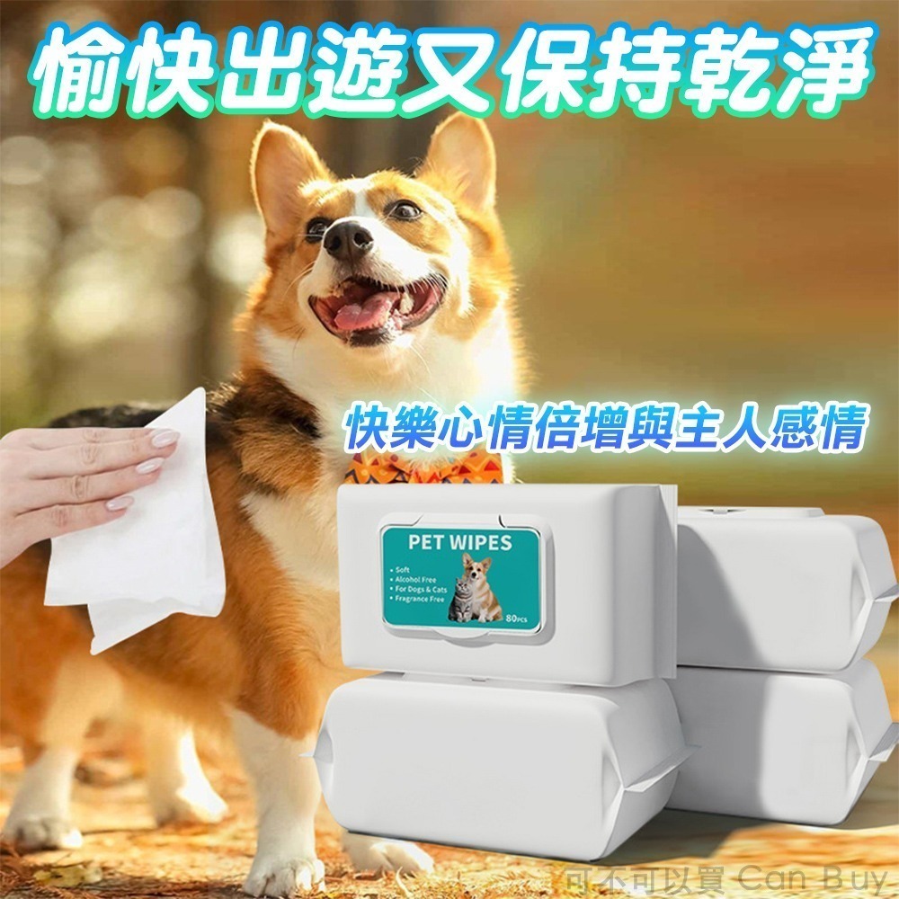 【限時購】6包優惠組 寵物濕紙巾 升級加厚 貓犬可用 寵物濕巾 狗狗濕紙巾-細節圖7