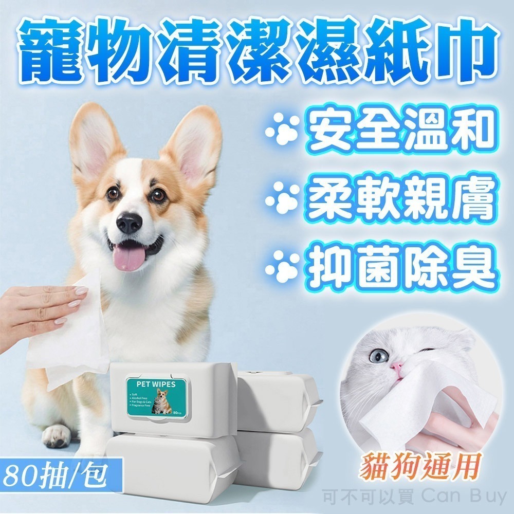 【限時購】6包優惠組 寵物濕紙巾 升級加厚 貓犬可用 寵物濕巾 狗狗濕紙巾-細節圖2