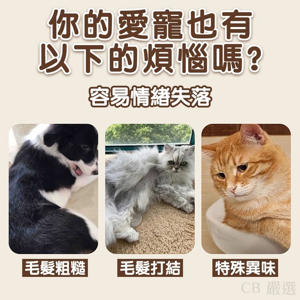 【限時購】2入優惠組 寵物洗毛精 洗毛精 寵物沐浴乳 狗狗沐浴乳 狗狗洗澡沐浴乳-細節圖3