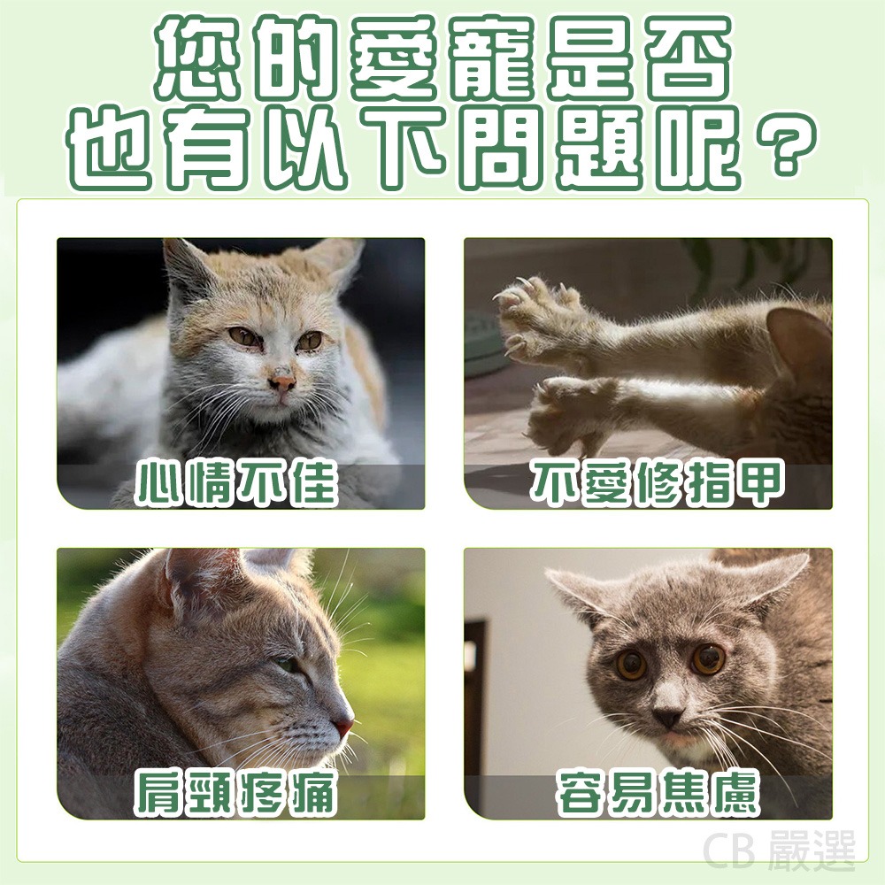 【100ml 超值組】貓咪薄荷噴霧 貓咪誘導劑 貓咪快樂水 貓草 貓薄荷 誘導劑 貓咪紓壓 貓草 貓薄荷 木天寥 貓放鬆-細節圖2