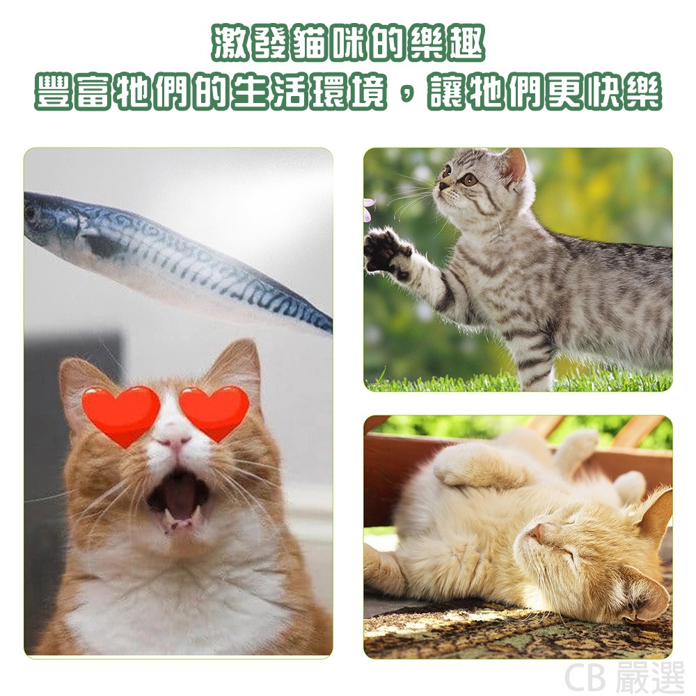 【100ml 超值組】貓咪薄荷噴霧 貓咪誘導劑 貓咪快樂水 貓草 貓薄荷 誘導劑 貓咪紓壓 貓草 貓薄荷 木天寥 貓放鬆-細節圖4