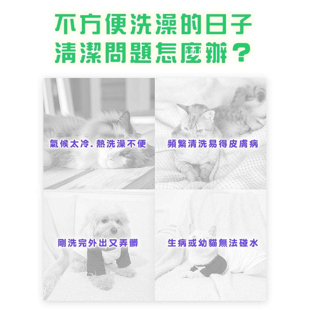 【一包6片】寵物免洗手套 擦澡手套 寵物濕紙巾 手套濕巾 寵物濕巾 貓狗清潔 貓洗澡 寵物洗澡手套 貓咪洗澡手套-細節圖2