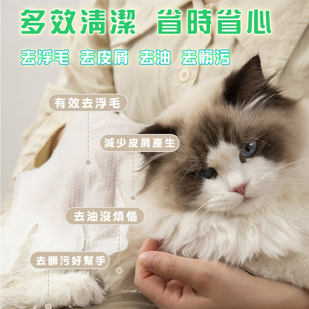 【一包6片】寵物免洗手套 擦澡手套 寵物濕紙巾 手套濕巾 寵物濕巾 貓狗清潔 貓洗澡 寵物洗澡手套 貓咪洗澡手套-細節圖3