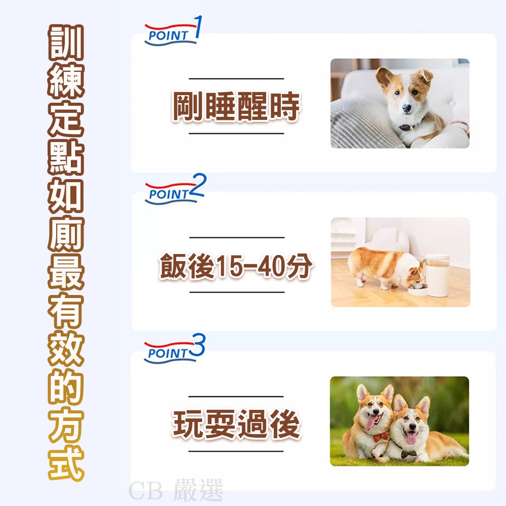 寵物誘導劑 寵物誘導噴劑 誘便液 誘導液 誘尿劑 排便誘導劑 定點排便 寵物尿尿 狗尿尿訓練 狗尿尿誘導 寵物用品-細節圖7