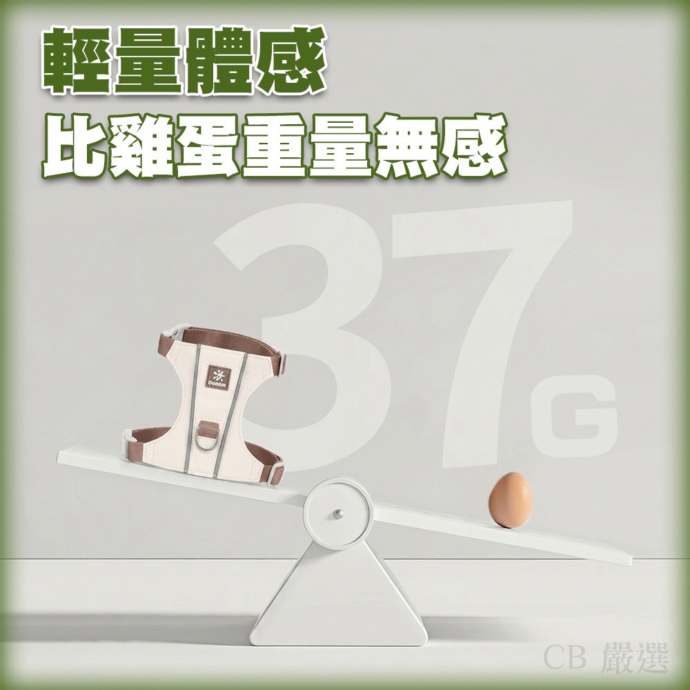 【輕量反光設計】貓胸背帶 胸背帶 貓咪胸背帶 寵物胸背帶 寵物牽繩胸背帶 貓背帶 胸背帶 貓牽繩胸背帶 貓咪牽繩 貓牽繩-細節圖3