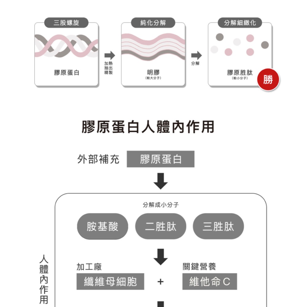 益菌膠原胜肽(含益生元)-細節圖9