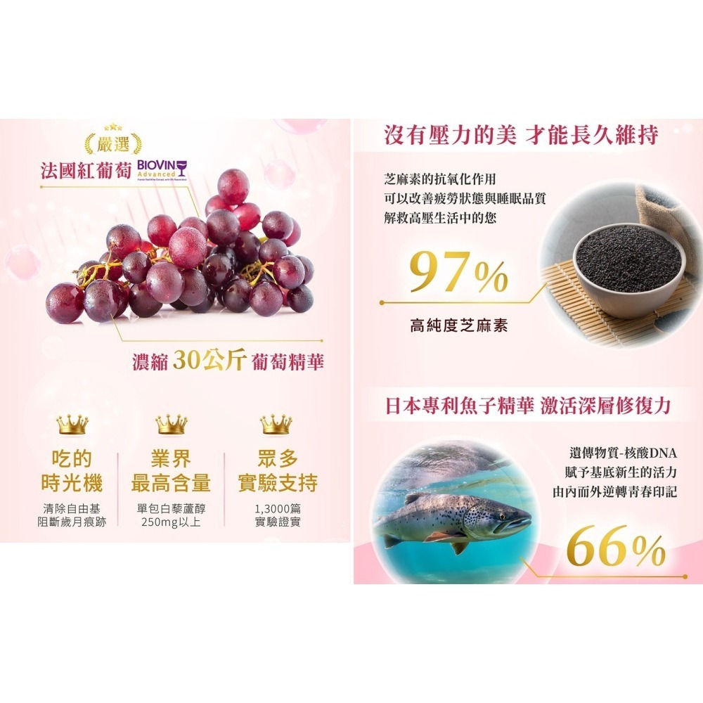 Gelovery 白藜透紅莓果飲30ml『 單盒 10包 』（葷）【雀雀不是胖】-細節圖4