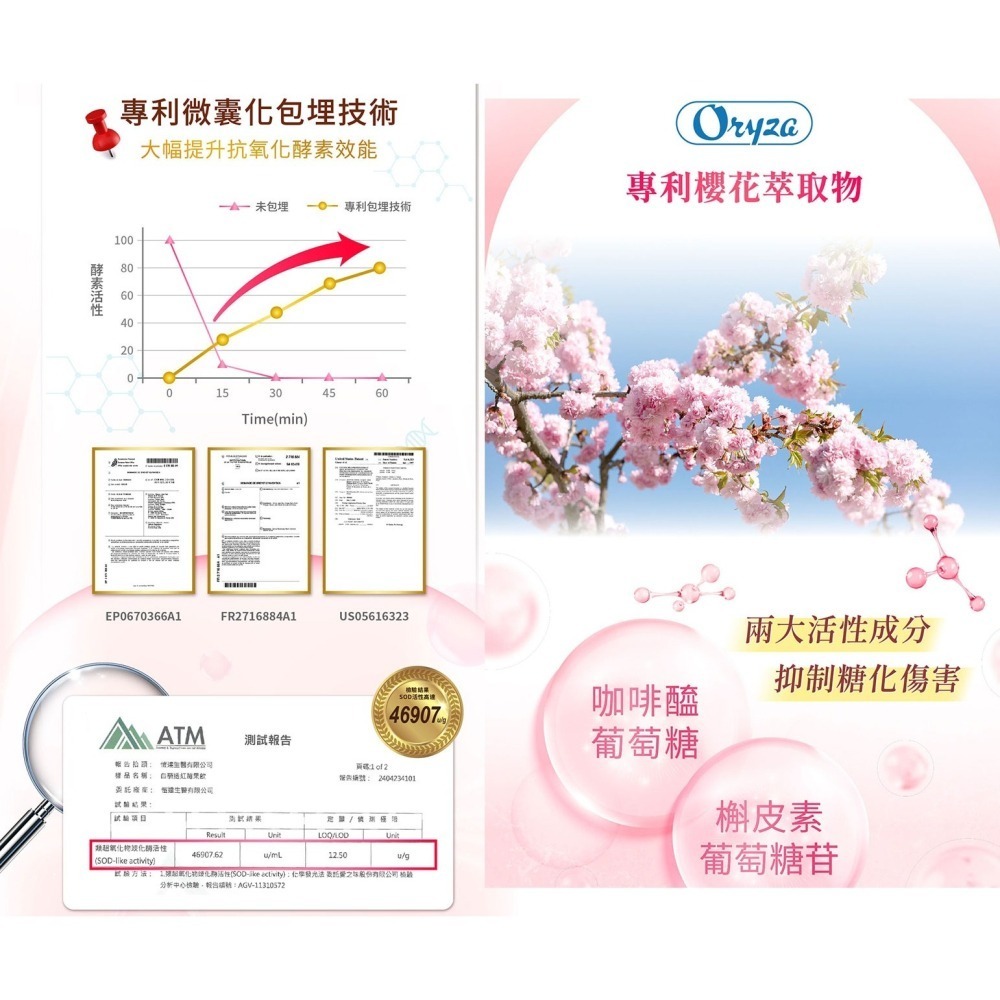 Gelovery 白藜透紅莓果飲30ml『 單盒 10包 』（葷）【雀雀不是胖】-細節圖8