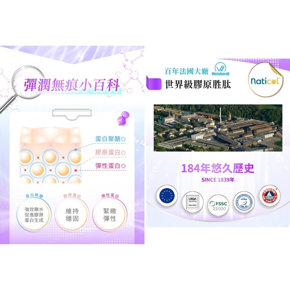 Gelovery 全能嬌原飲紅葡萄口味『 單盒 10包 』（葷）【雀雀不是胖】-細節圖4