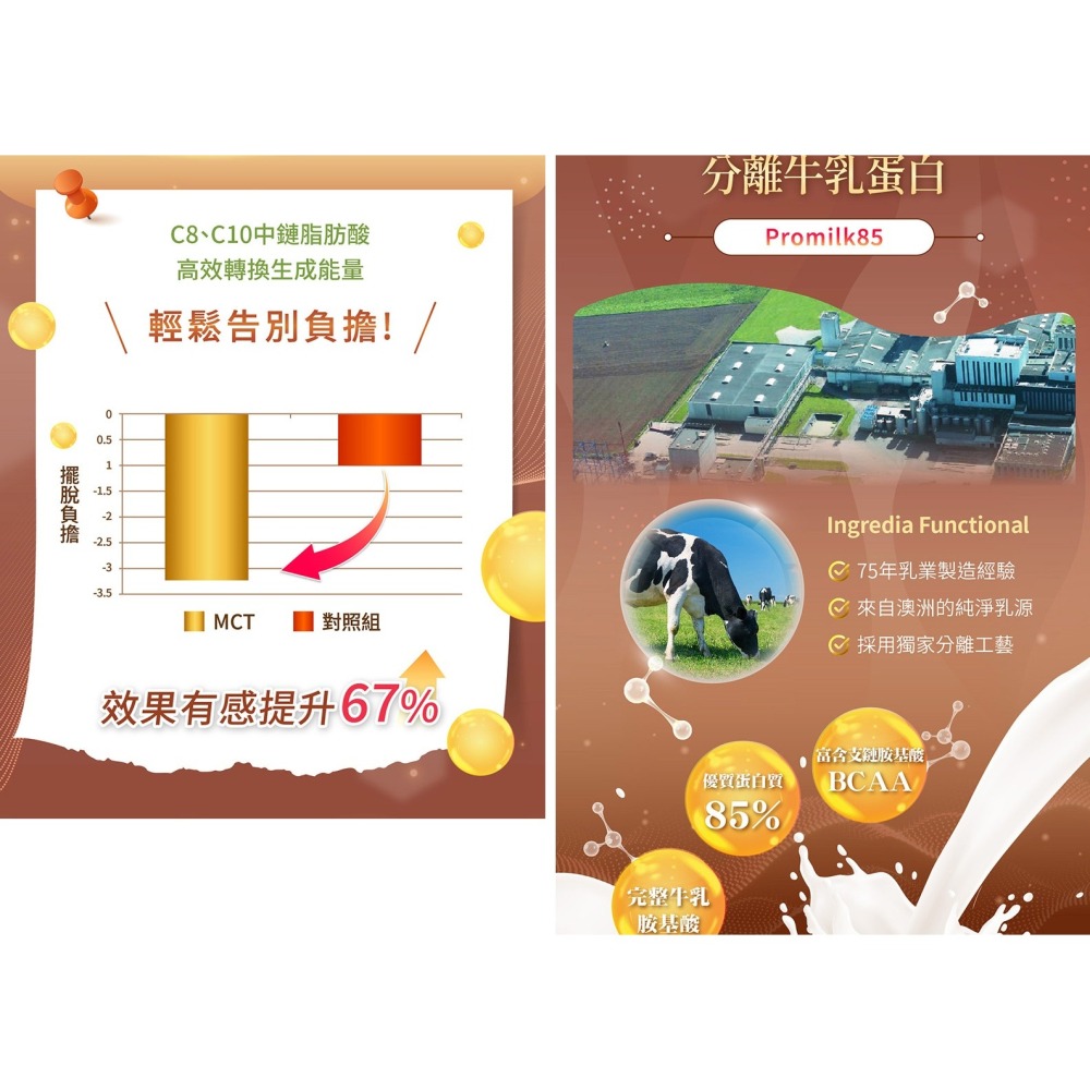 Gelovery 防彈可可沖泡粉包『 單盒 10包 』（奶素）【雀雀不是胖】-細節圖6