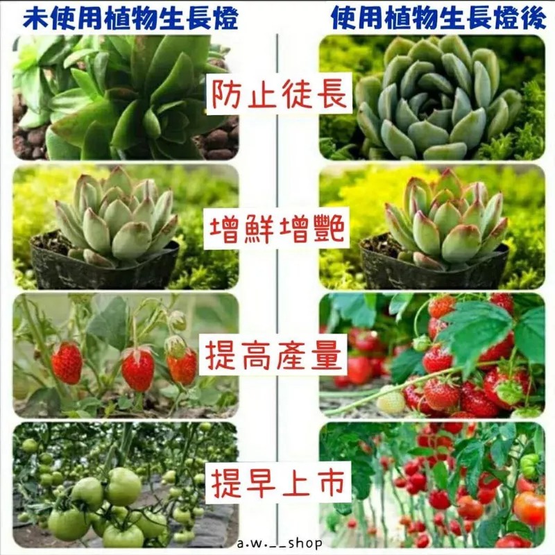 LED環形植物生長燈 定時花卉室內蔬菜五檔調光補光燈 天使環狀多肉植物防止徒長燈 紅藍光USB植物燈 全光譜幼苗景觀燈-細節圖3