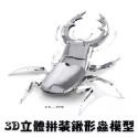 金屬DIY拼裝模型 3D立體不鏽鋼拼圖鍬形蟲造型 創意益智甲蟲昆蟲組裝玩具 精緻質感桌面裝飾擺設-規格圖5