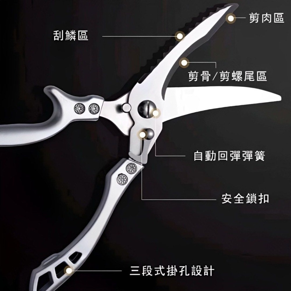 多功能廚房不鏽鋼剪刀,家用料理烹飪雞骨剪,戶外露營燒烤剪,食物切割剪-細節圖3