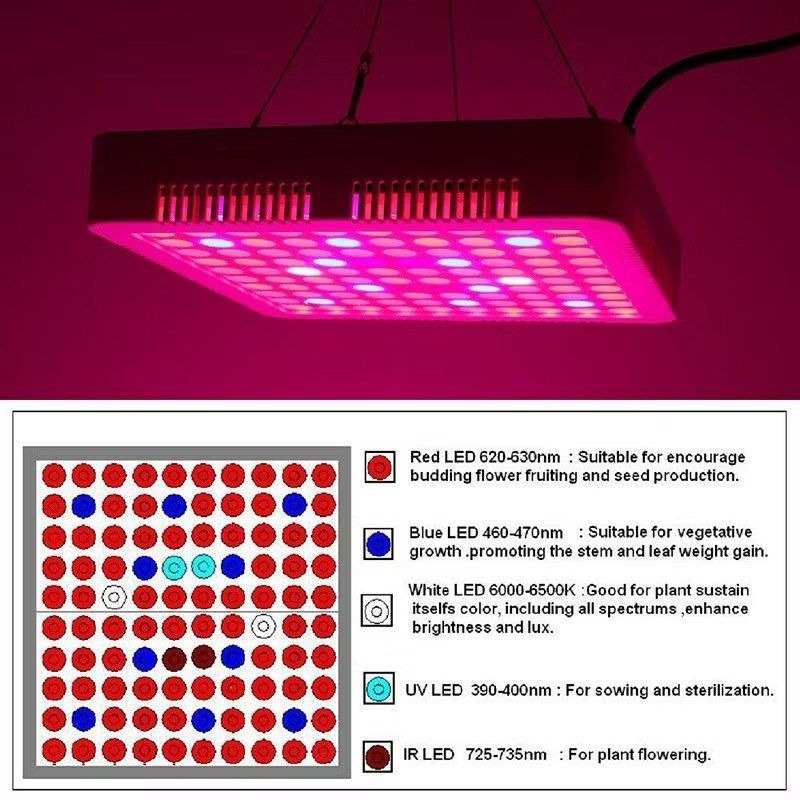 全光譜燈面板植物補光燈,園藝幼苗LED植物燈-細節圖2