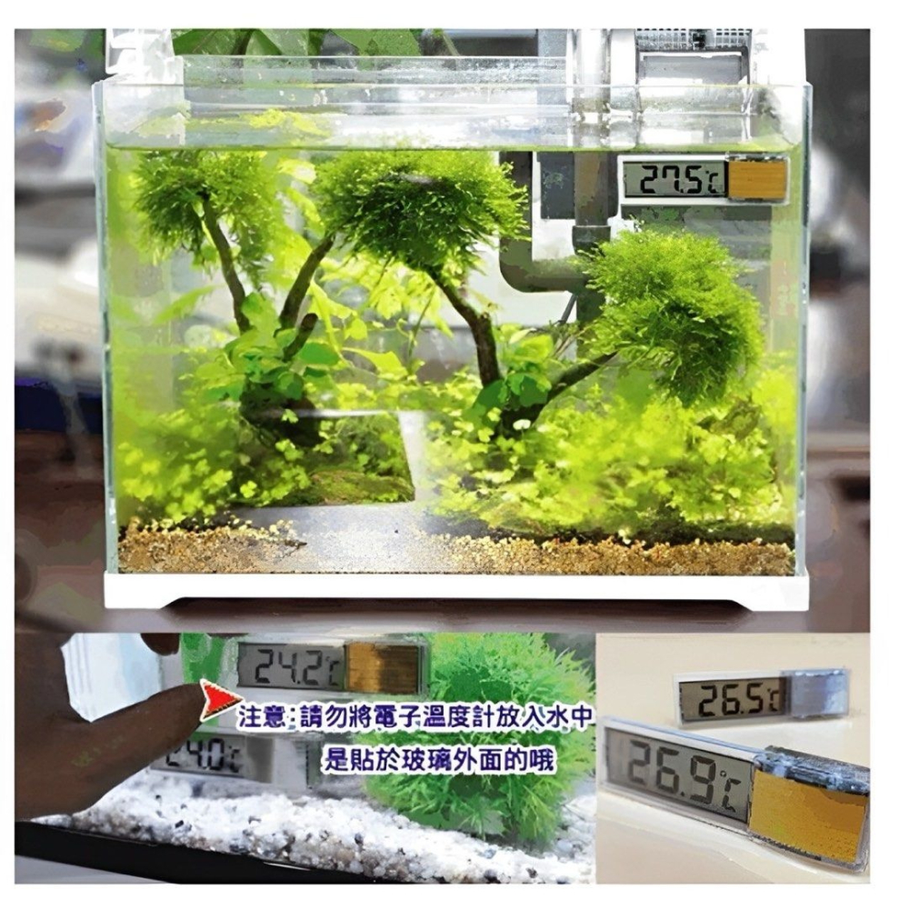 3D透視水晶玻璃電子溫度計,時尚水族箱液晶顯示溫度計,透明魚缸溫度計-細節圖2