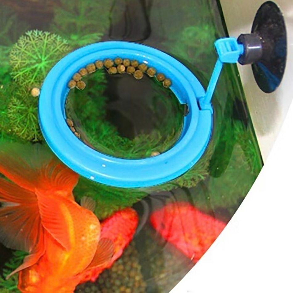 懸浮魚缸喂食圈,水族箱魚飼料投餵圈,圓形浮力漂浮圈餵食器-細節圖2