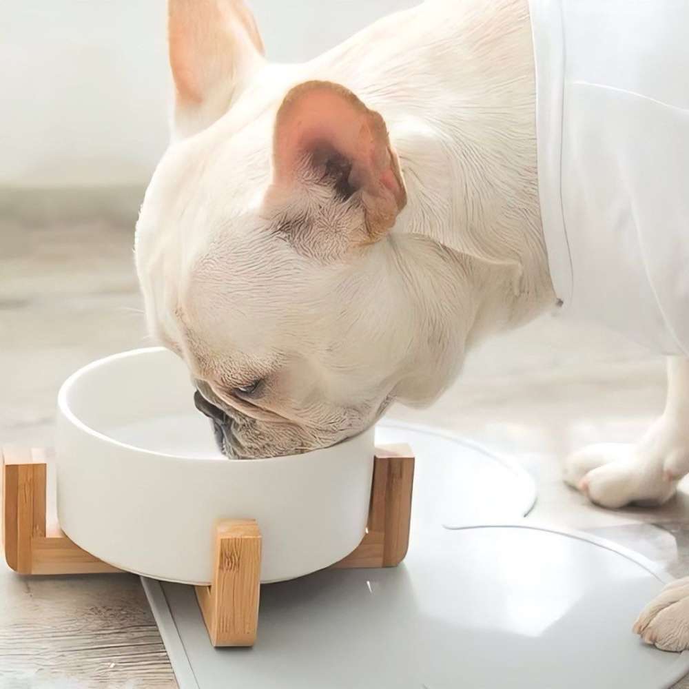 北歐大理石灰陶瓷寵物碗附木架座,防打翻大容量850ml飼料碗,大口徑狗碗貓碗-細節圖2