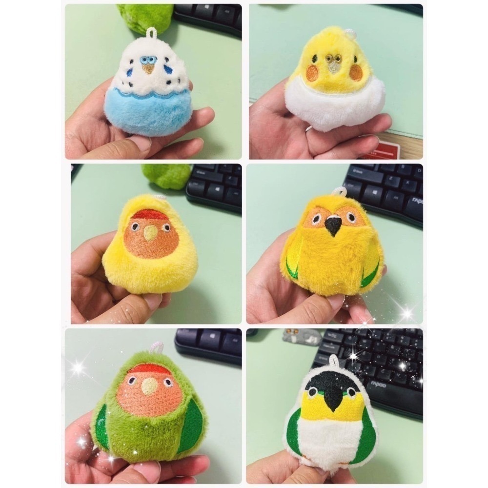 啾啾的型男日記 獨家小娃娃 ／歪臉黃小鸚-細節圖7