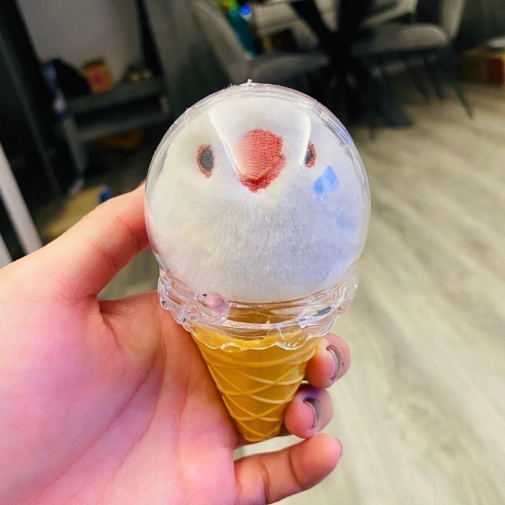 啾啾的型男日記 獨家小娃娃 ／歪臉小文鳥-細節圖8