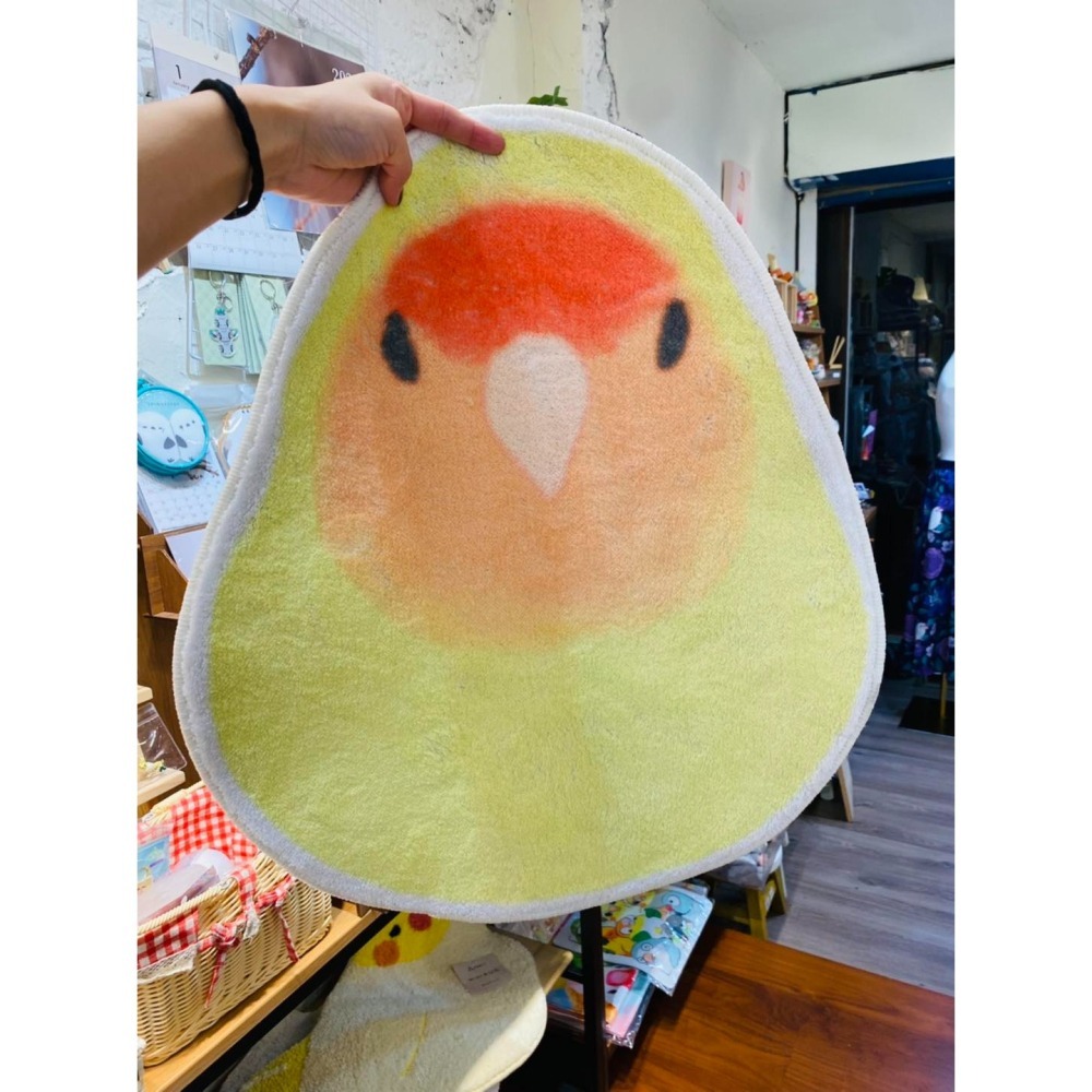 可愛小文鳥 玄鳳 小鸚 腳踏墊-細節圖2
