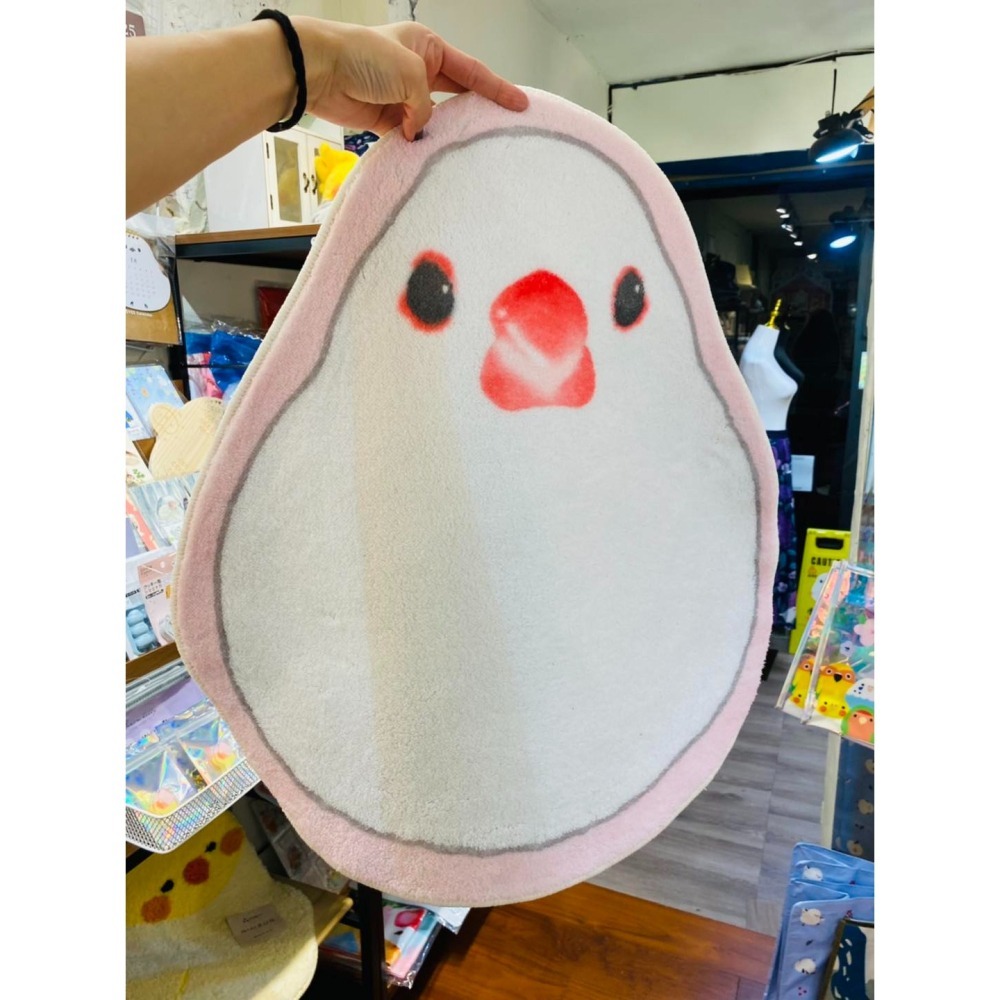 可愛小文鳥 玄鳳 小鸚 腳踏墊-細節圖3