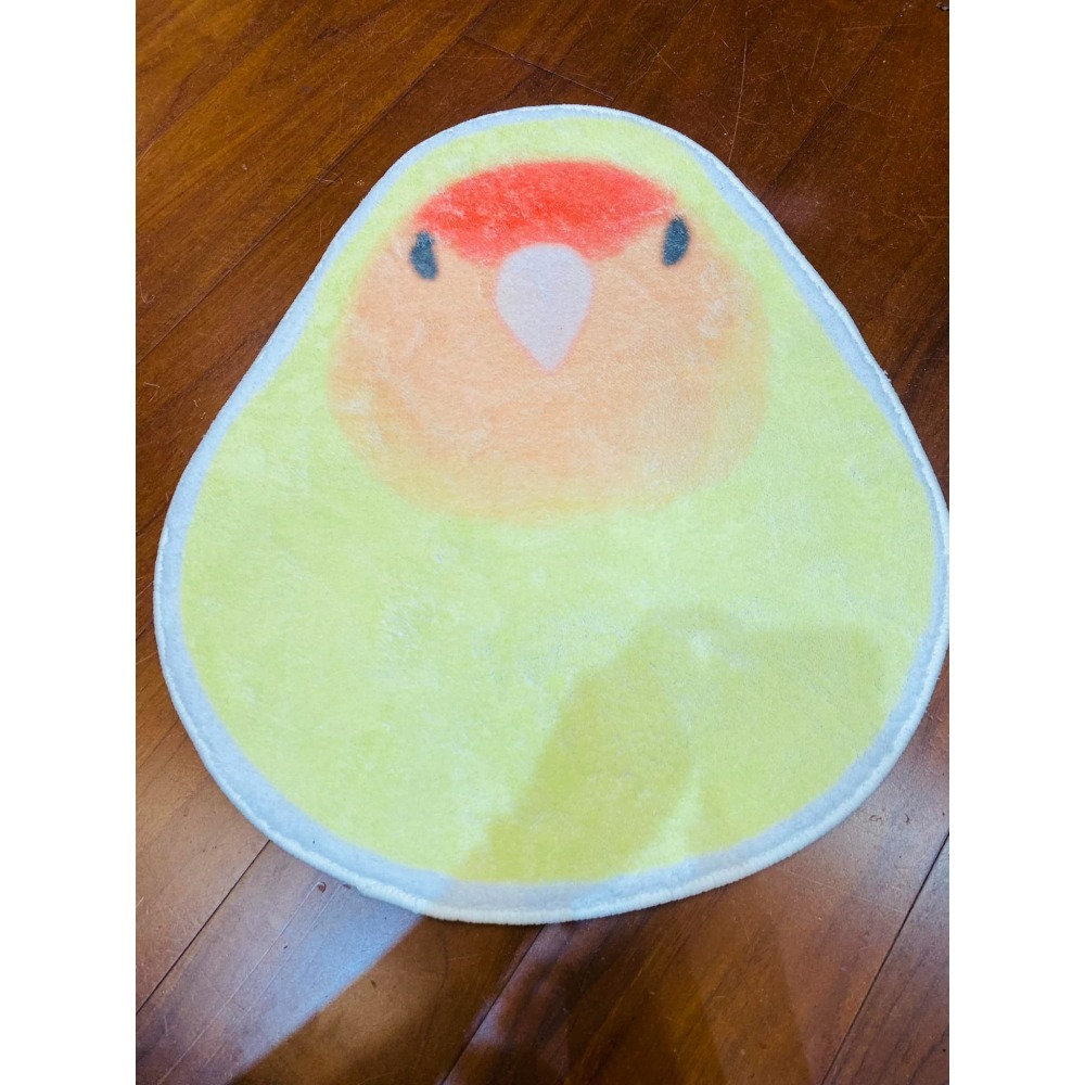 可愛小文鳥 玄鳳 小鸚 腳踏墊-細節圖5