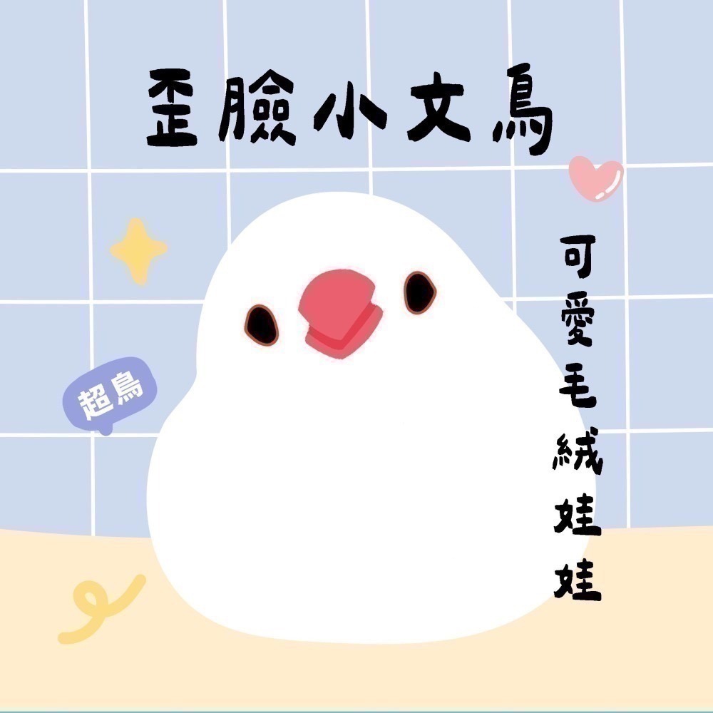 超可愛小鳥花束 ❤️ ❤️ ❤️-規格圖11