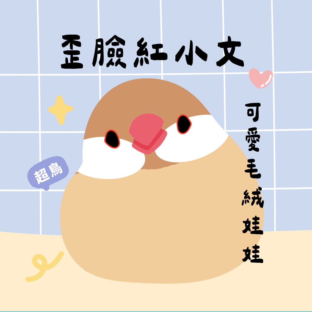 超可愛小鳥花束 ❤️ ❤️ ❤️-規格圖11