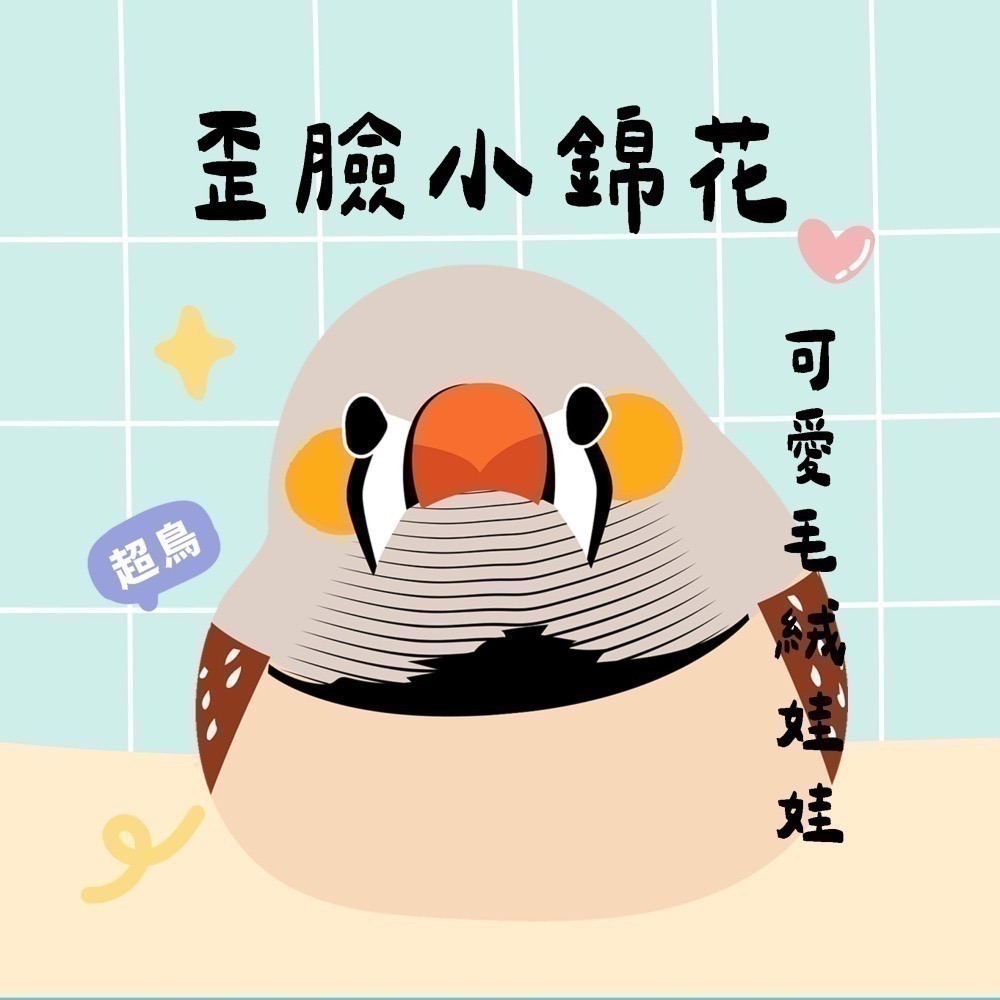 超可愛小鳥花束 ❤️ ❤️ ❤️-規格圖11