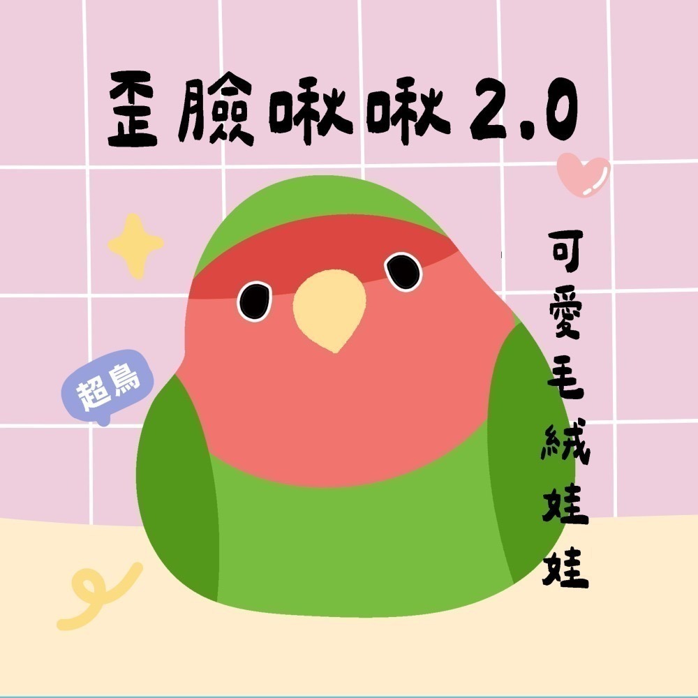 超可愛小鳥花束 ❤️ ❤️ ❤️-規格圖11