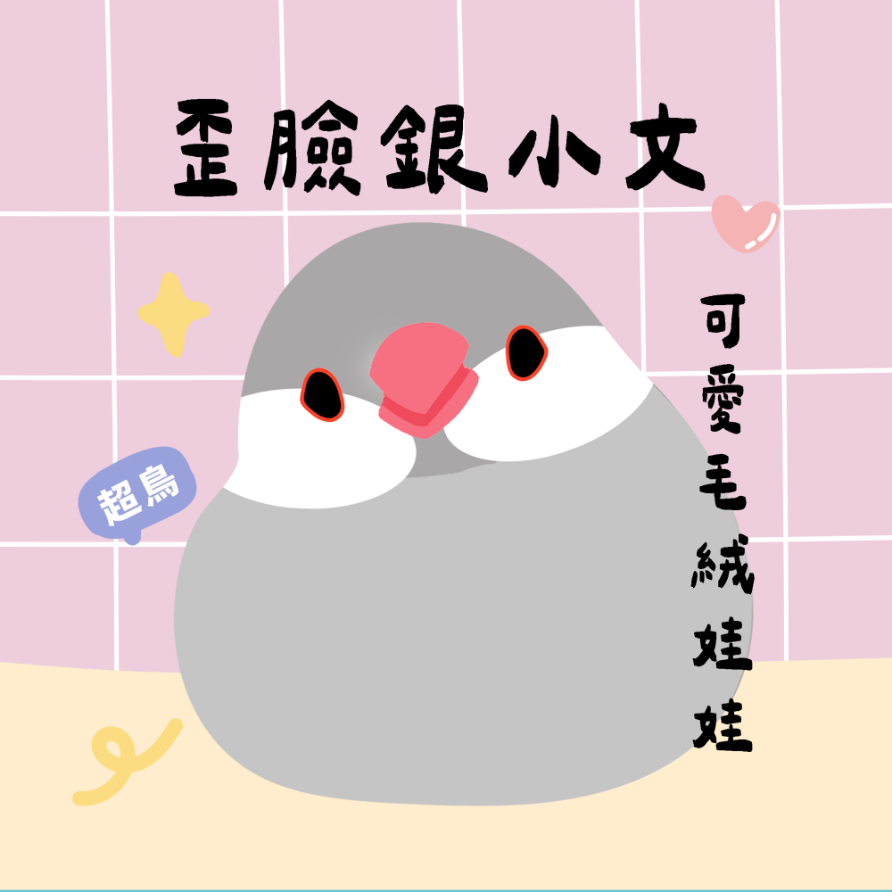 超可愛小鳥花束 ❤️ ❤️ ❤️-規格圖11