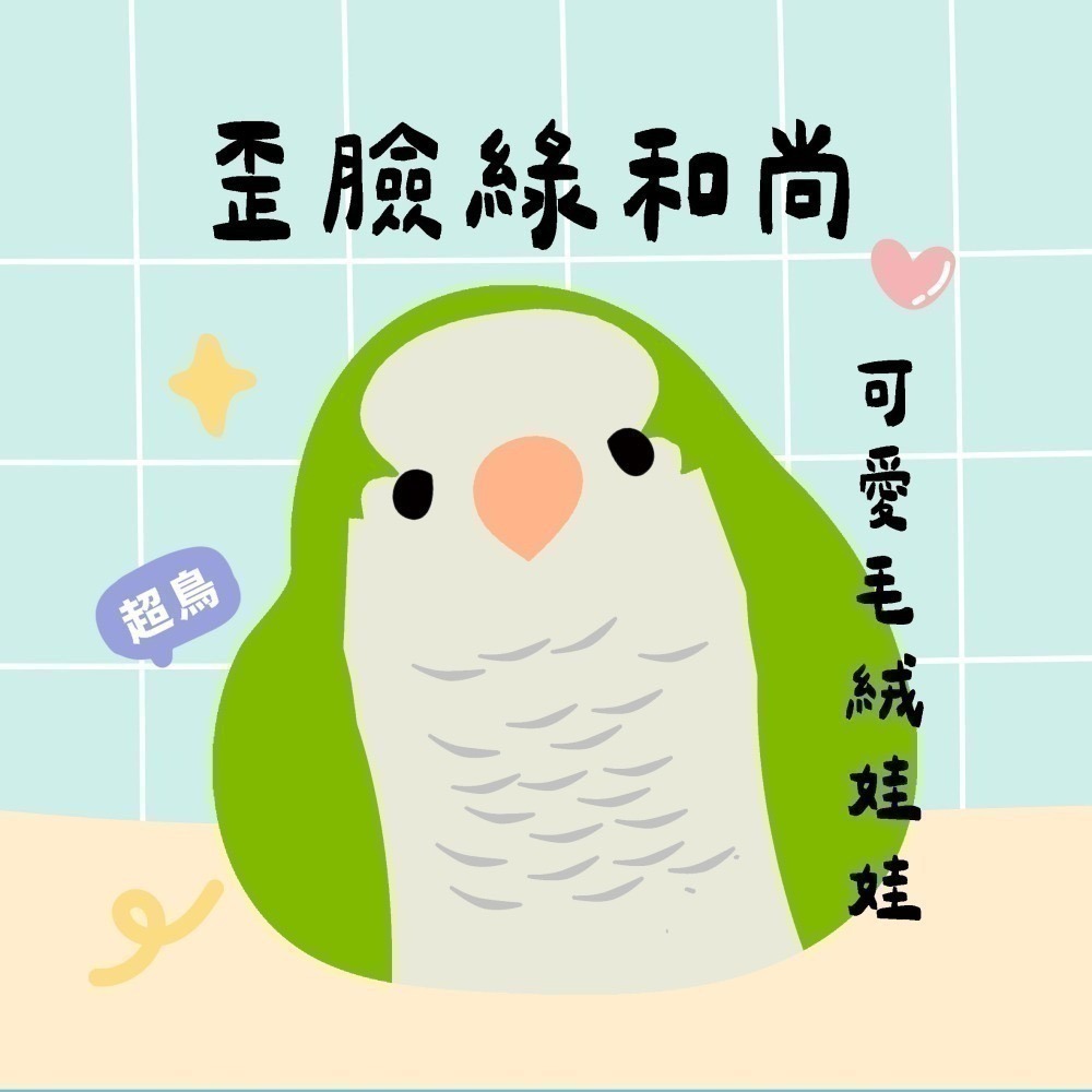超可愛小鳥花束 ❤️ ❤️ ❤️-規格圖11