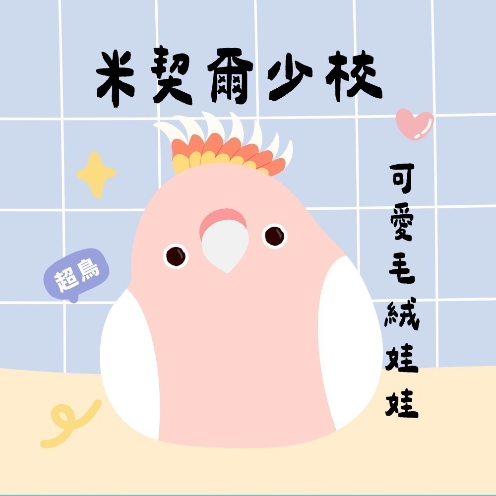 超可愛小鳥花束 ❤️ ❤️ ❤️-規格圖11