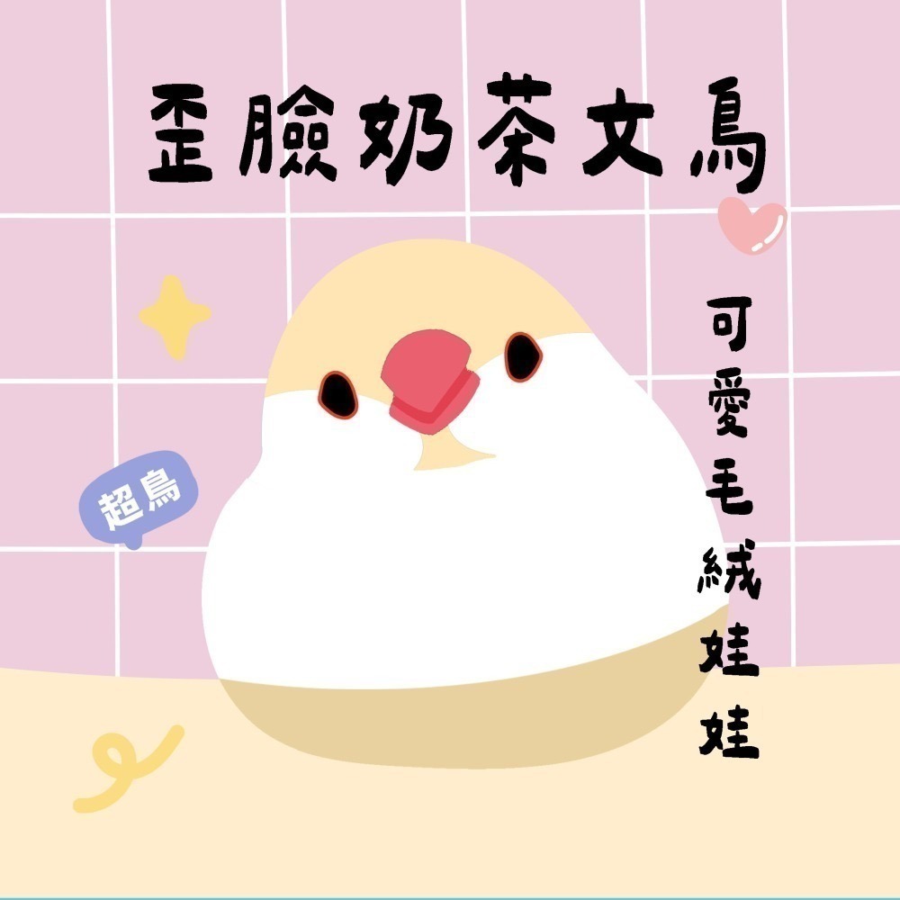奶茶金文鳥