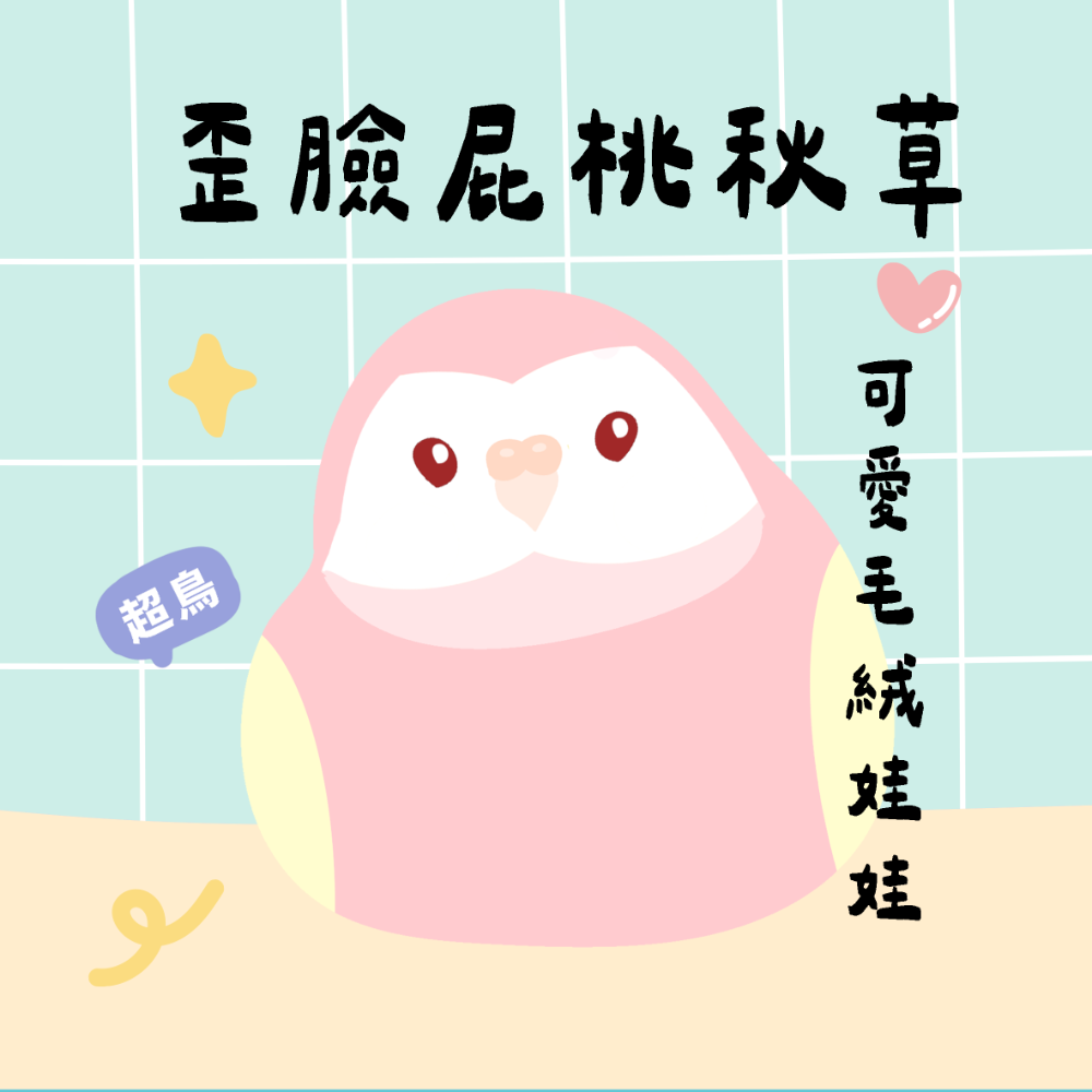 超可愛小鳥花束 ❤️ ❤️ ❤️-規格圖11