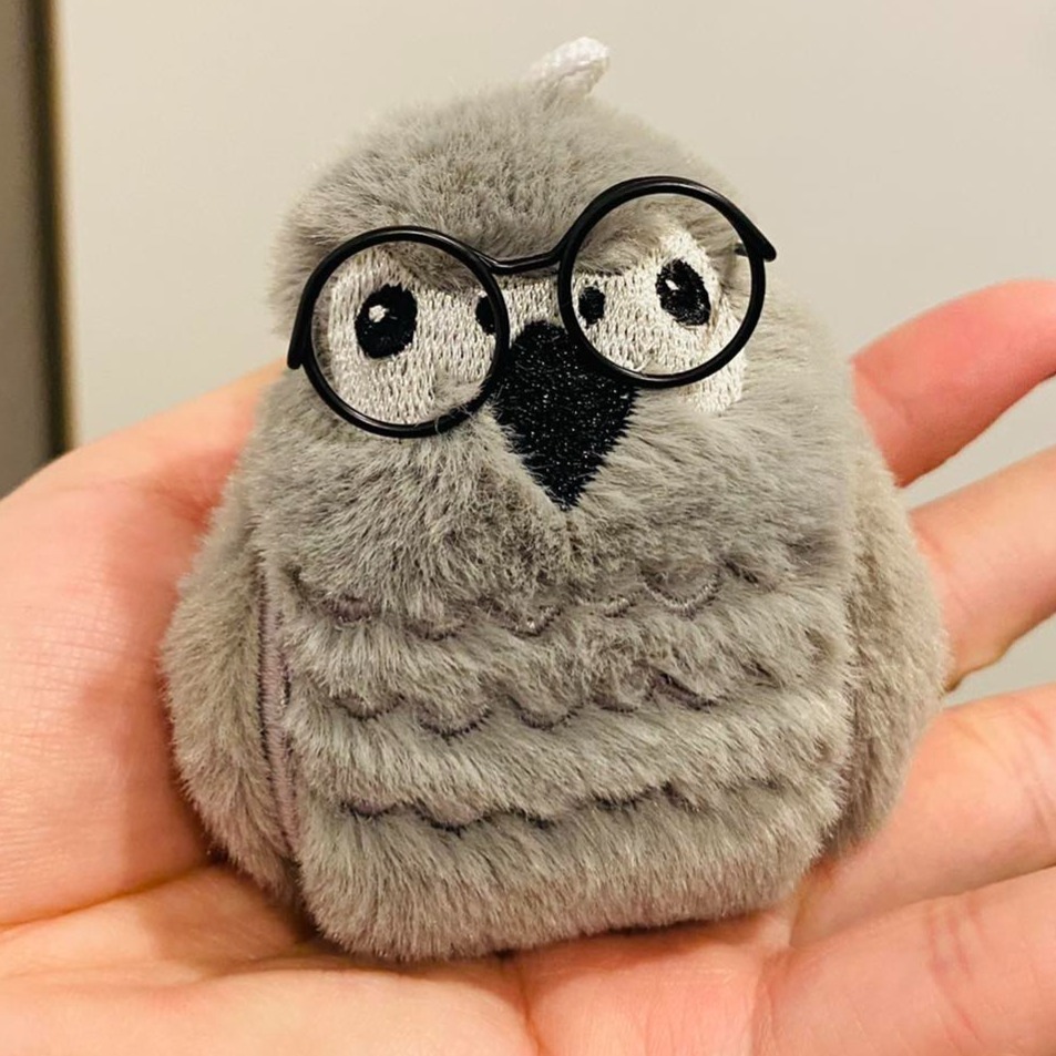 加購博士眼鏡(如圖範例)