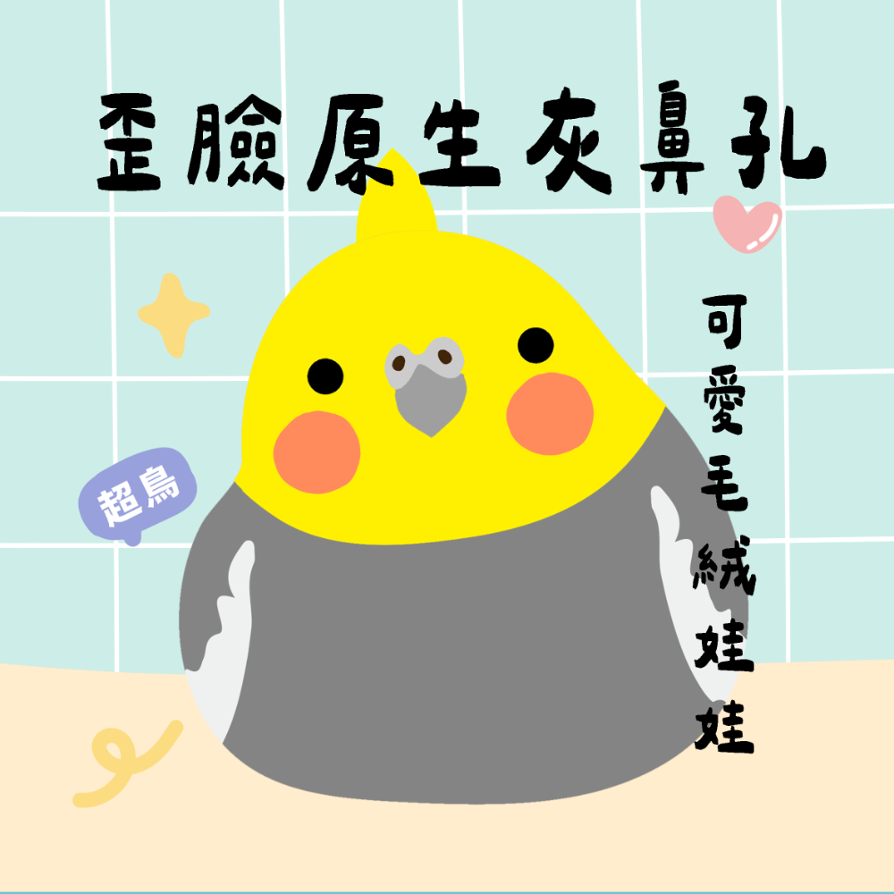 超可愛小鳥花束 ❤️ ❤️ ❤️-規格圖11