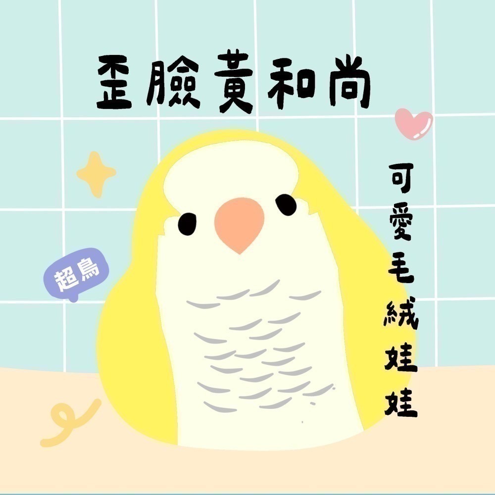 超可愛小鳥花束 ❤️ ❤️ ❤️-規格圖11