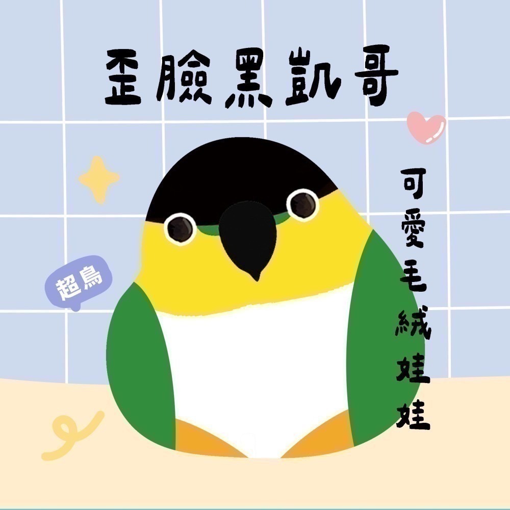 超可愛小鳥花束 ❤️ ❤️ ❤️-規格圖11
