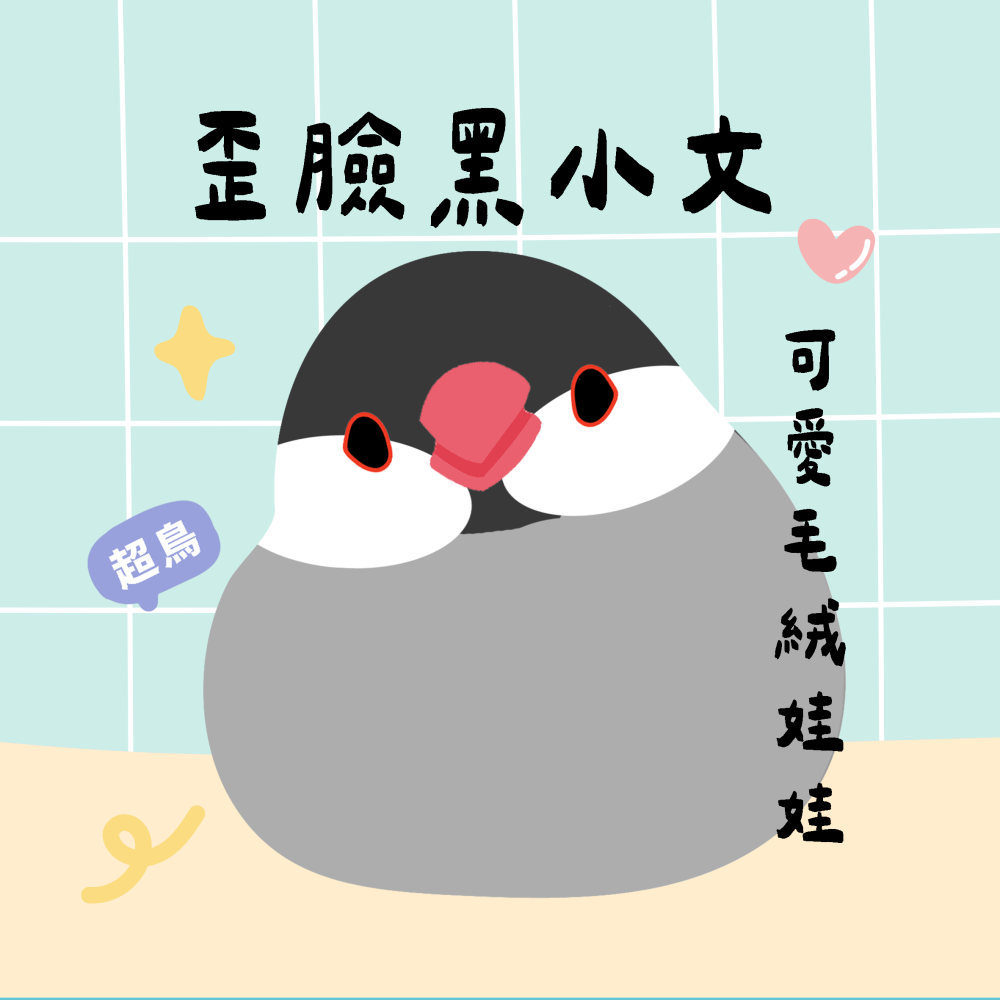 超可愛小鳥花束 ❤️ ❤️ ❤️ 中花束-規格圖11