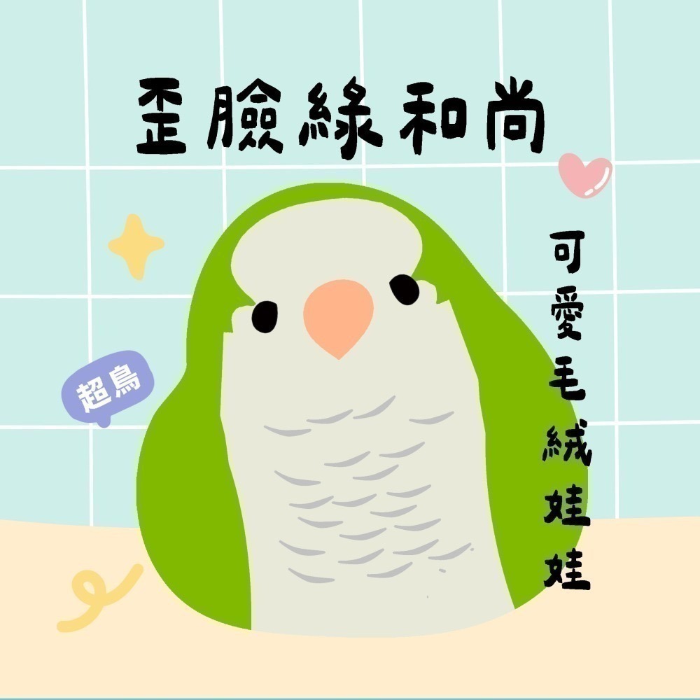 超可愛小鳥花束 ❤️ ❤️ ❤️ 中花束-規格圖11