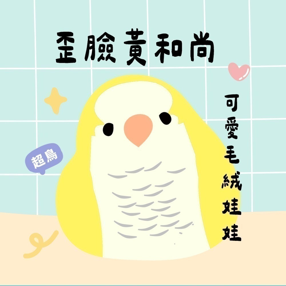 超可愛小鳥花束 ❤️ ❤️ ❤️ 中花束-規格圖11