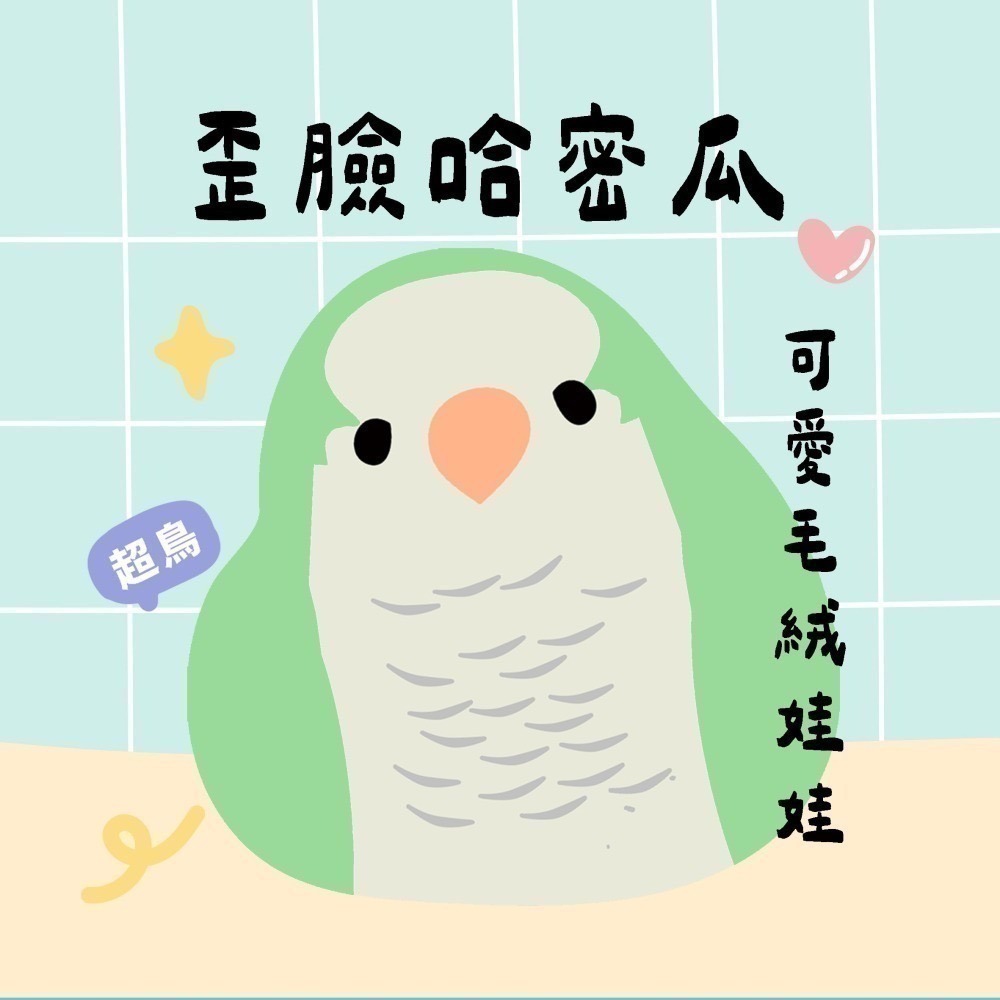 超可愛小鳥花束 ❤️ ❤️ ❤️ 中花束-規格圖11