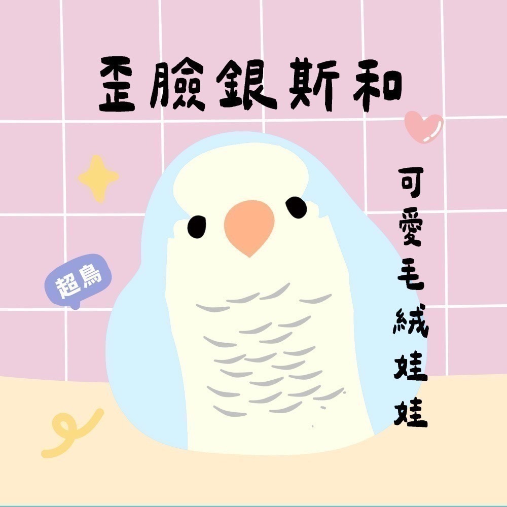 超可愛小鳥花束 ❤️ ❤️ ❤️ 中花束-規格圖11